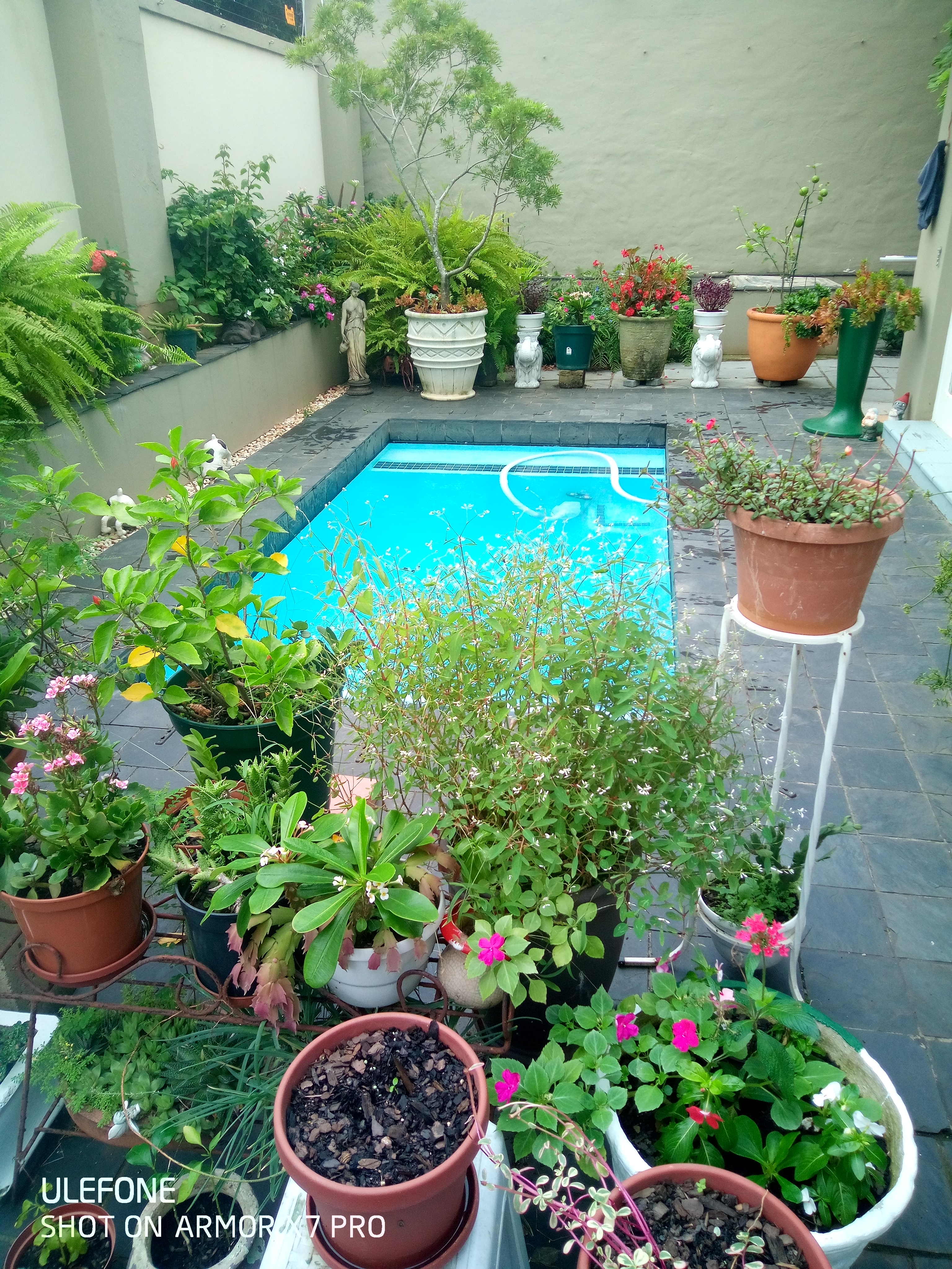 The Pool Magician, photo 9 of 10