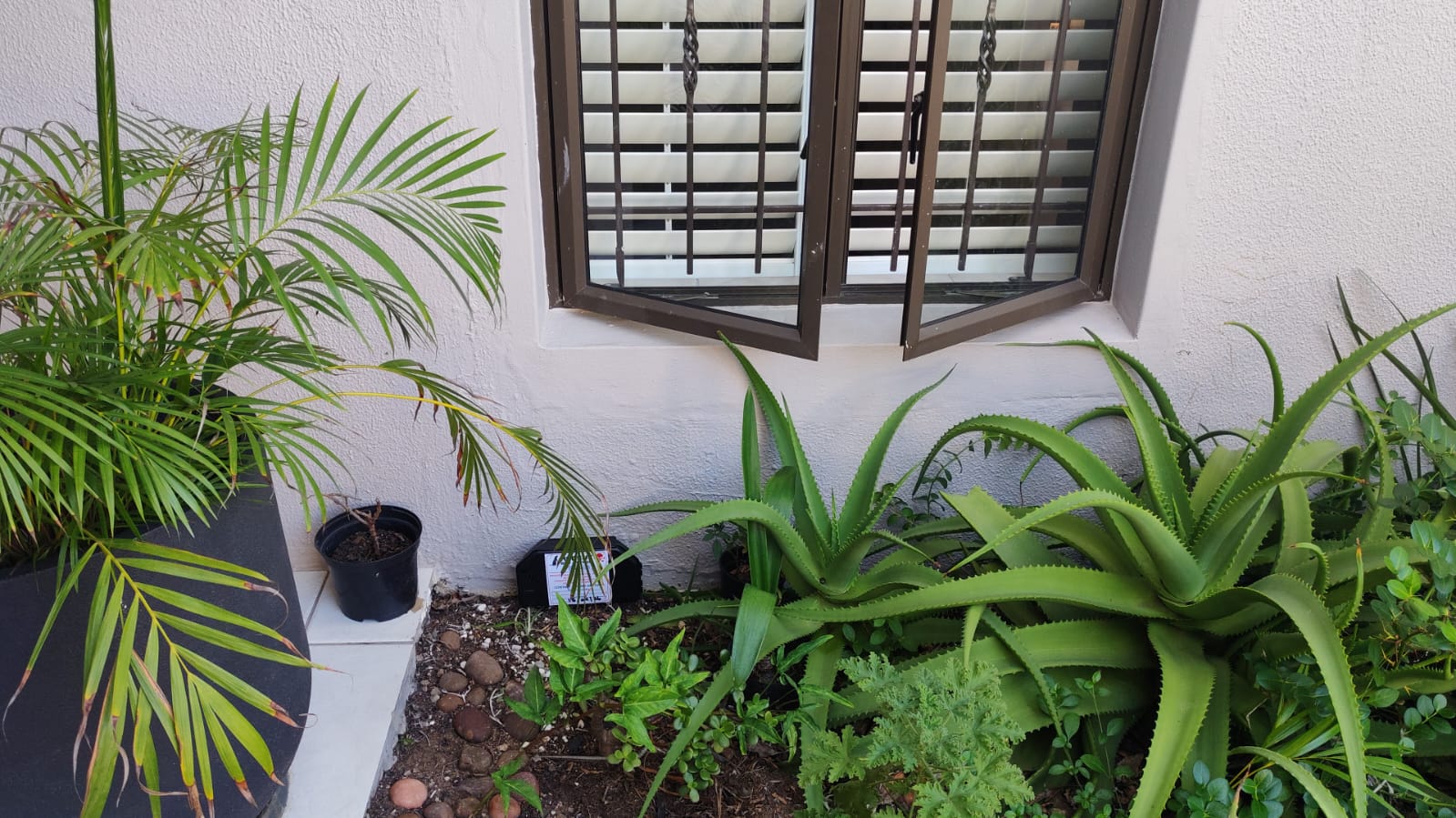 Professional Pest Control Kzn, photo 4 of 10