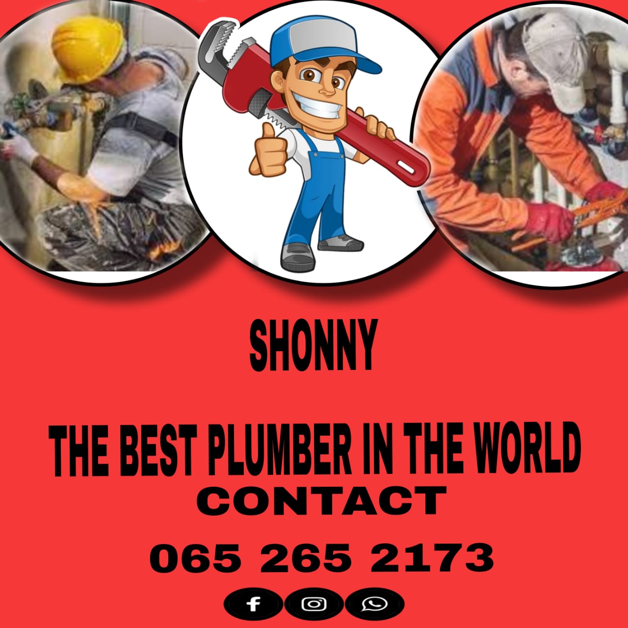 Shonny, photo 1 of 1