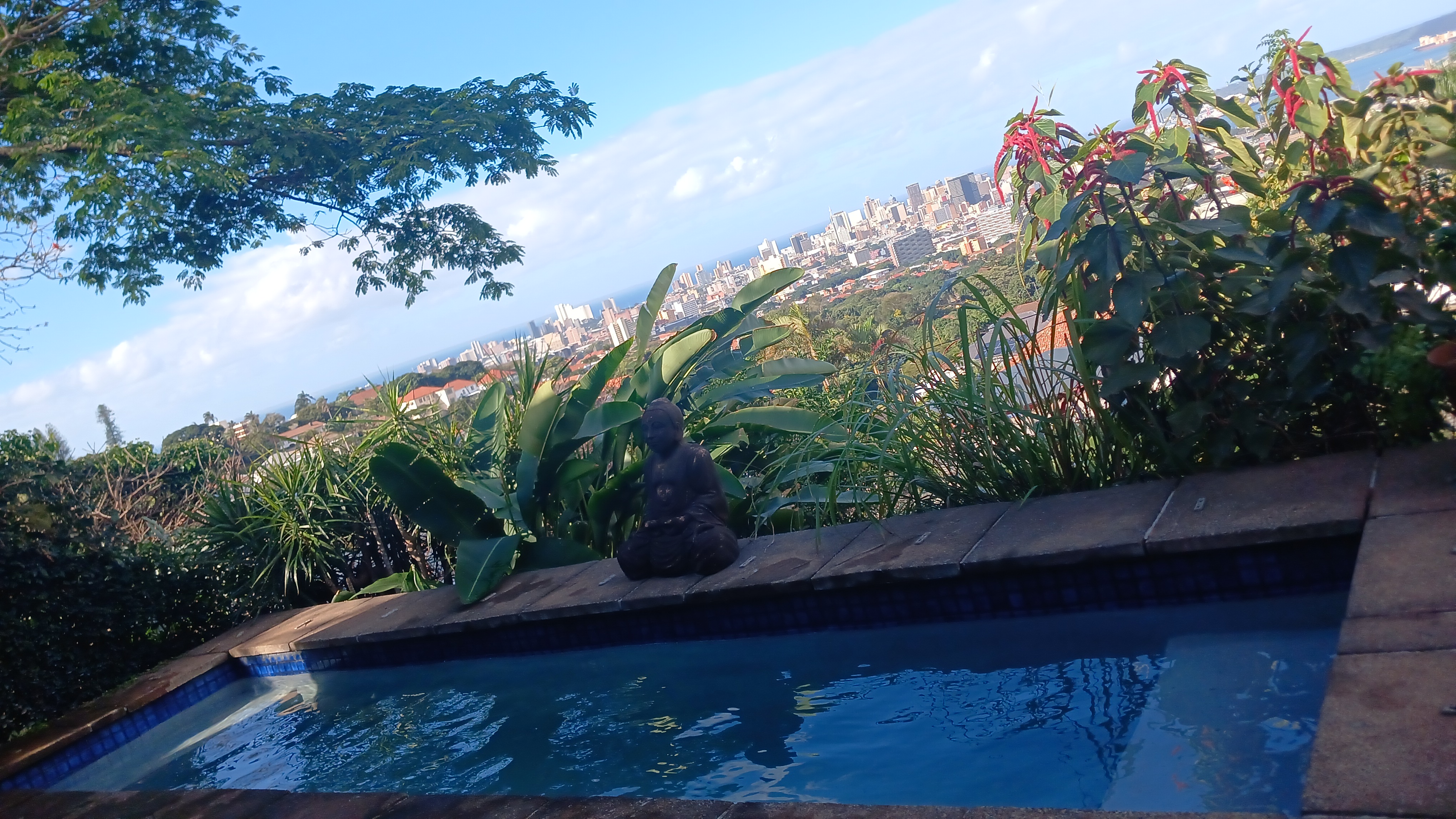 The Pool Magician, photo 4 of 10