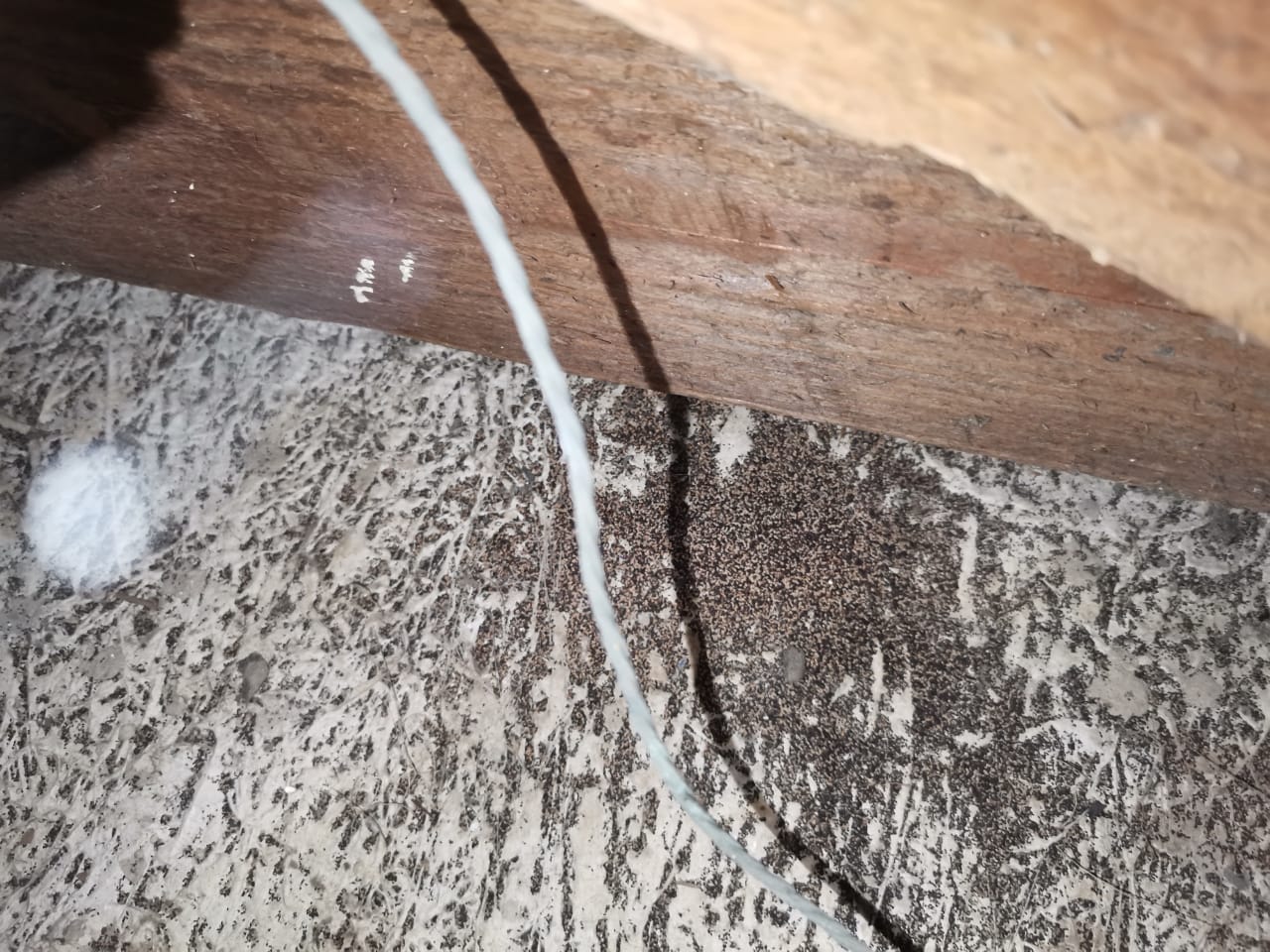Professional Pest Control Kzn, photo 9 of 10