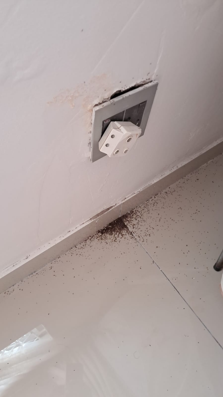 Professional Pest Control Kzn, photo 1 of 10