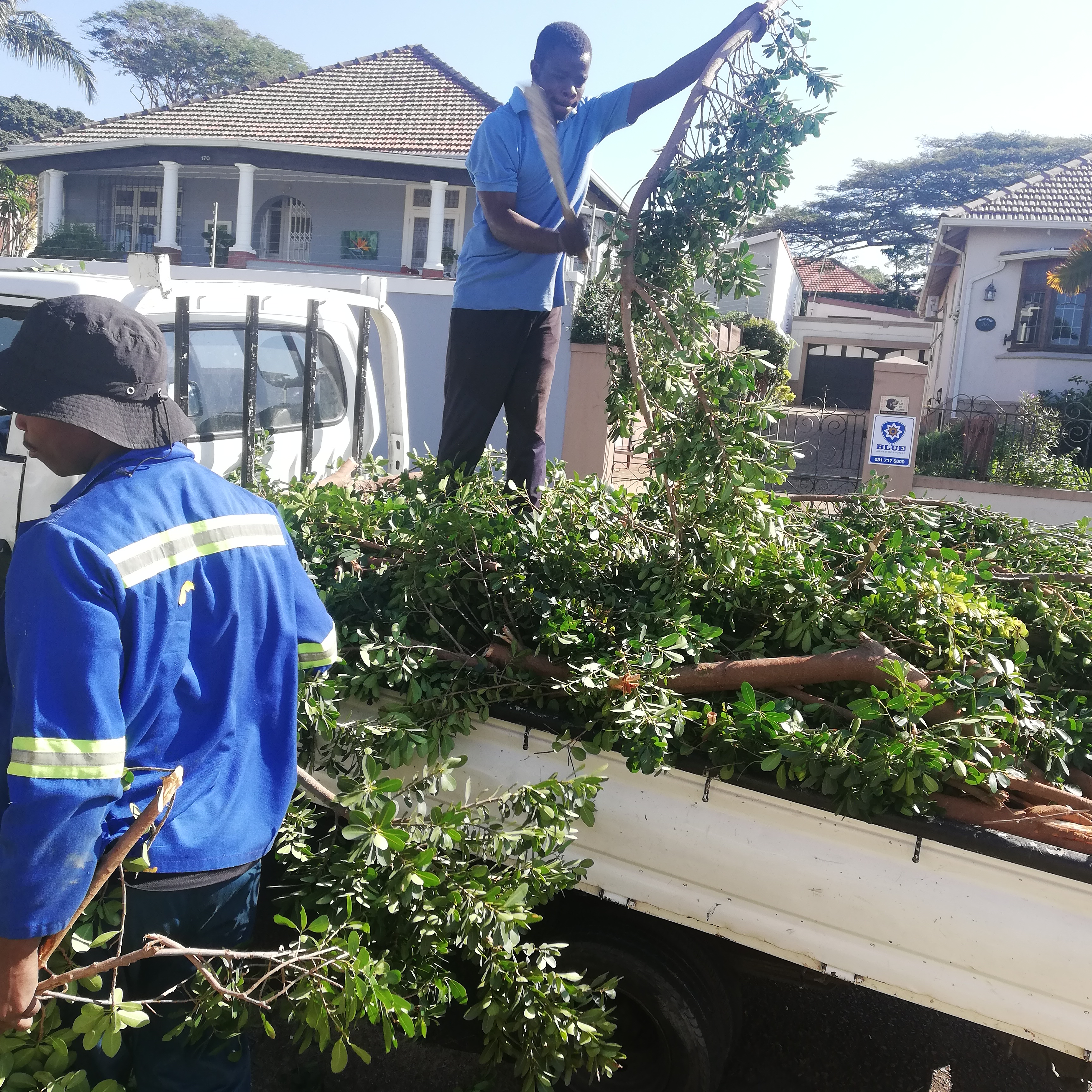 Kp removal and garden services, photo 2 of 4